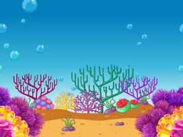 Seamless coral reef under the water