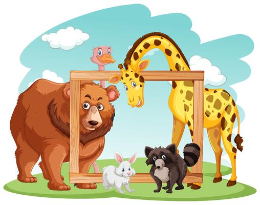 Wooden frame with many animals