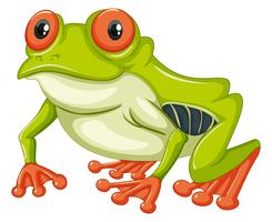 Green frog with happy smile vector