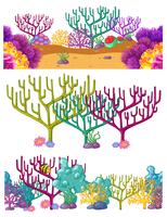 Three scenes with coral reef underwater vector