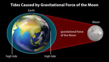Earth and Moon vector