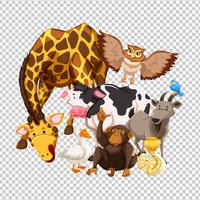 Many wild animals on transparent background vector