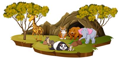 Escena de montaña con muchos animales. vector