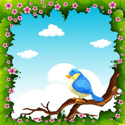 Blue bird on the branch