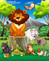 Wild animals together in the field vector