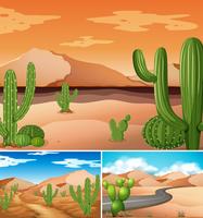 Tres escenas con plantas de cactus a lo largo del camino. vector