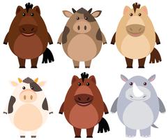 Caballos y vacas con cara alegre. vector