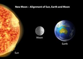 Earth, moon and Sun alignment vector