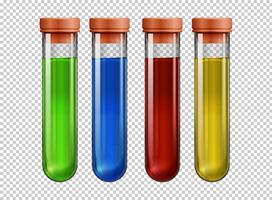 Four testtubes filled with colorful liquid vector