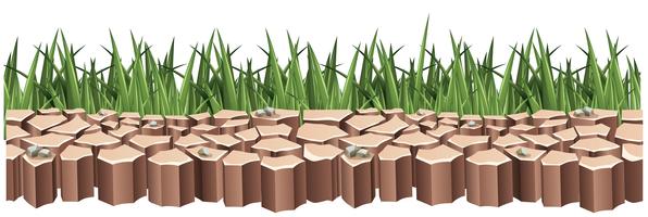 Dry land and green grass vector