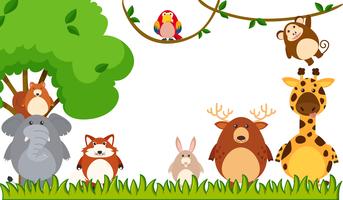 Different types of animals in the park vector