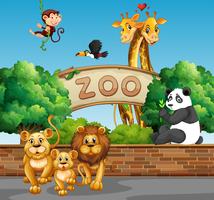 Escena con animales salvajes en el zoológico. vector