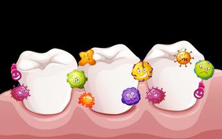 Bacteria in human teeth vector