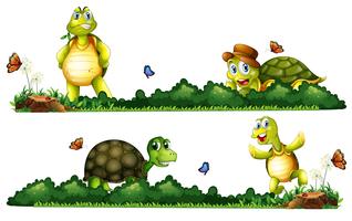 Turtles being happy in the garden vector