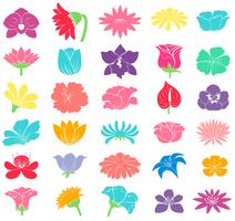 Different floral designs vector
