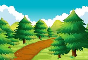 Nature scene with track and pine trees vector