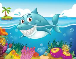 A shark in the sea with corals  vector