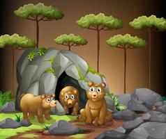 Tres osos viviendo en la cueva. vector