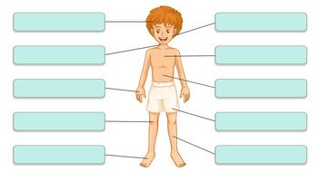 Boy Body Parts Vector Art, Icons, and Graphics for Free Download Boy Body Parts Vector Art, Icons, and Graphics for Free Download