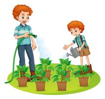 Padre e hijo regando las plantas vector