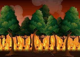 A Forest with Wildfire Disaster