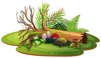 Naturaleza aislada para la decoración. vector