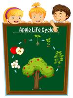 Kids looking at apple life cycle vector