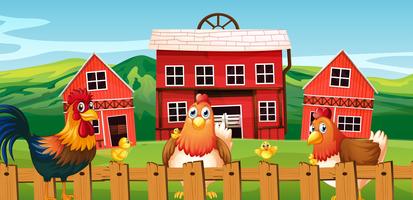 Chicken family at farmland vector