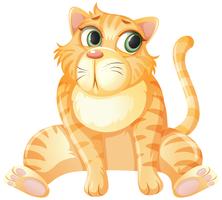 A yellow cat sitting on white background vector