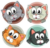 Cuatro cabezas de gatito en placa redonda. vector