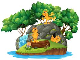 Tiger at the island cave vector