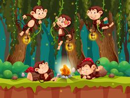 Monkey at the wild forest vector