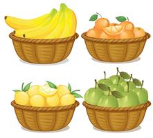 A set of fruit in basket