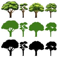 Conjunto de arboles de diferente diseño. vector