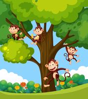Monkey playing at the tree vector