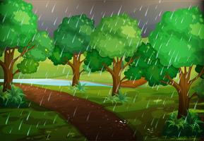 Forest scene on rainy day vector