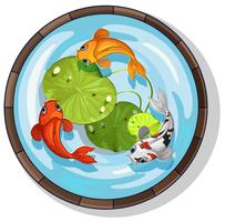 Three kois swimming in small pool vector