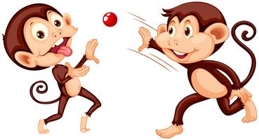 Monkey playing ball on white background vector