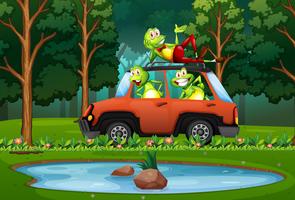 Frog travel by car in forest vector