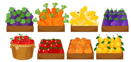 A set of fruits in basket vector