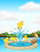 A duck family at the fountain vector