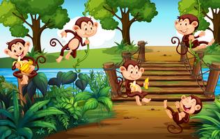 A group of monkey  at the park vector