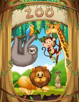 Wild animals in the zoo vector