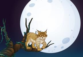 A Wild Cat at Dark Night vector