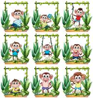 Monkeys in the wooden frame vector