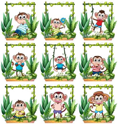 Monkeys in the wooden frame