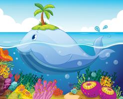 fish, island and coral in the sea vector
