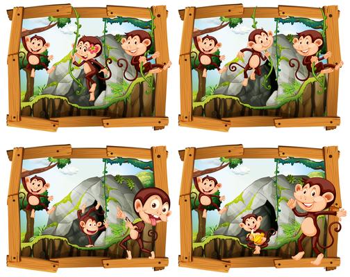 Four frames of monkeys by the cave