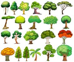 Set of trees vector