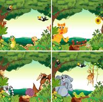 Animals and forests vector